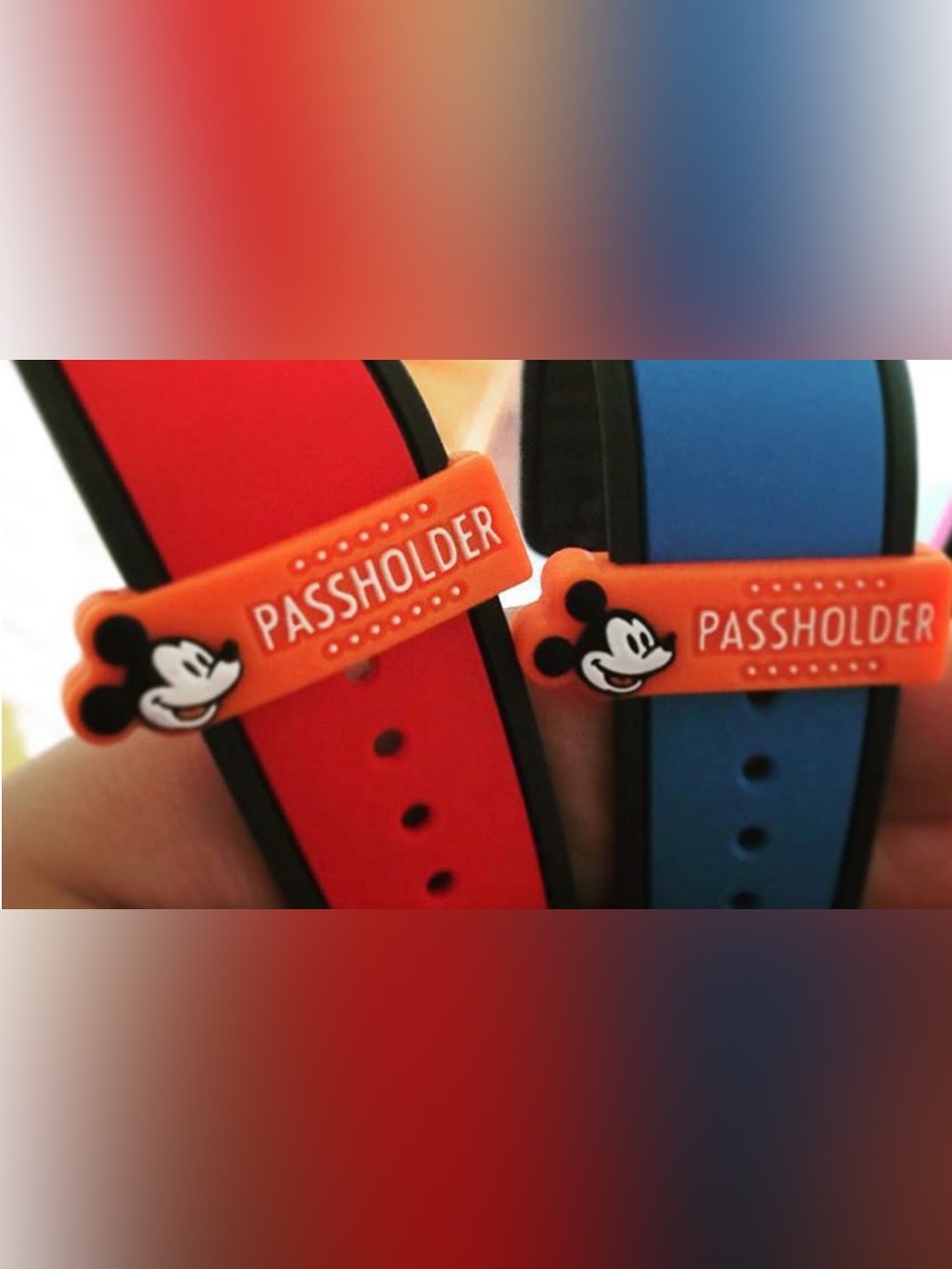 Disney Annual Passholder Watch/Magic Band Charm